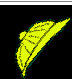 index007014.jpg